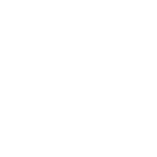 ingenieurbüro-wolk-prüfungen-icon