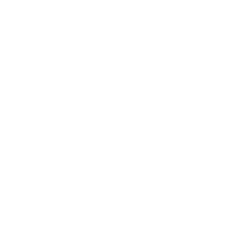 ingenieurbüro-wolk-sicherheit-icon